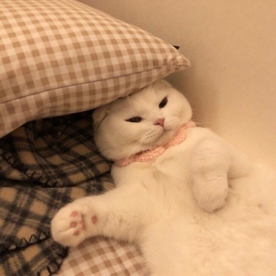 三星官宣AI永久免费 旗舰新机细节全曝光